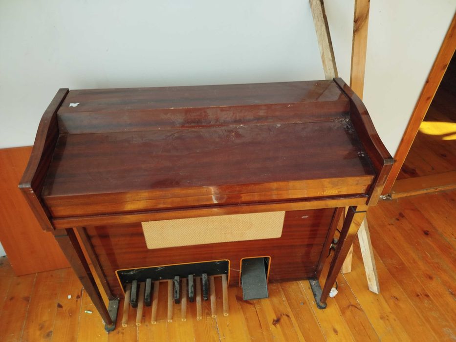 Organy elektryczne