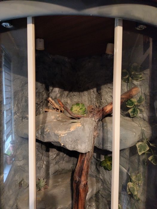 Sprzedam duże terrarium narożne
