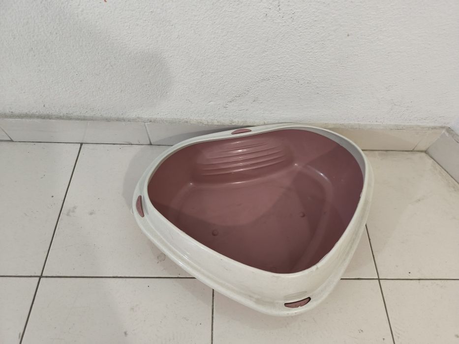 Casa de banho gatinhos
