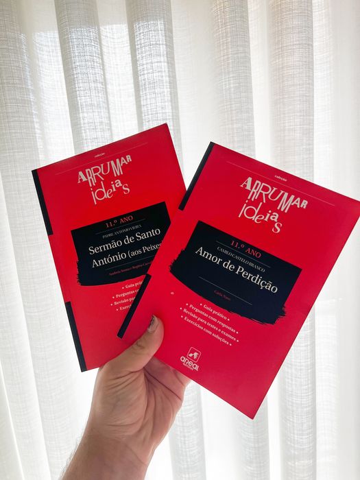 livro de apoio obras 11 ano