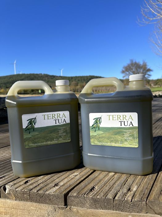 Azeite Terra Tua