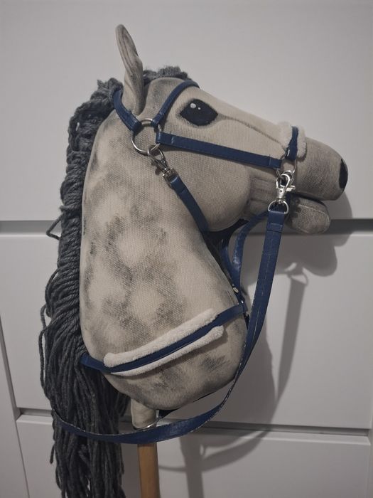 Hobby horse (konik na kiju)