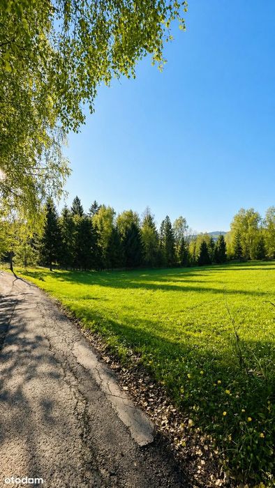 10 ar BUDOWLANE* Przy LESIE* Dostęp do drogi* CICHO