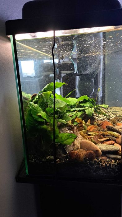 Akwarium 100l. razem z szafką