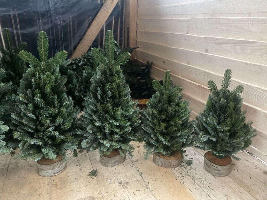 Плетена ялинка ручної роботи...