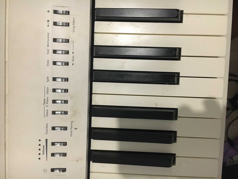 ROLAND FP-30x e Tripé Audibax