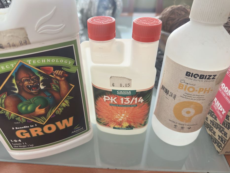 Kit cultivo indoor