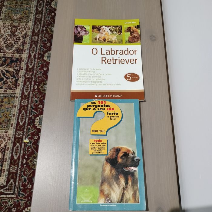 Dois livros sobre cães