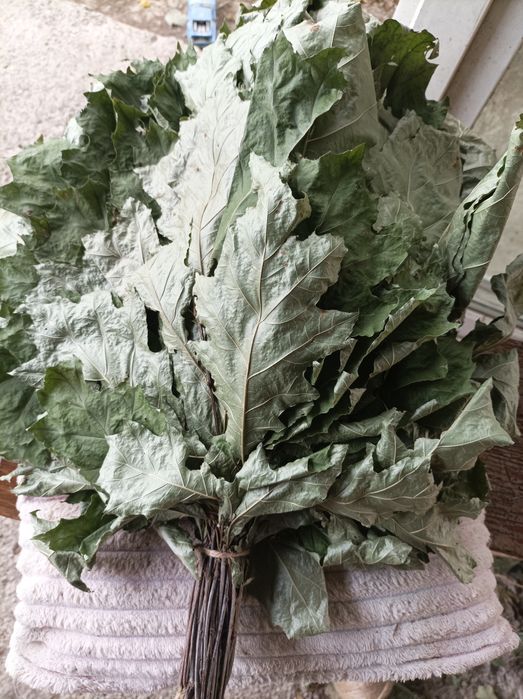 Віники для бані березові і дубові