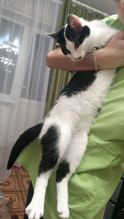 Мартин и Мартина ( 5 ,5 мес) ищут добрых родителей.