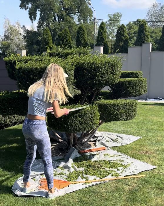 Садовник, уход за участком,стрижка растений