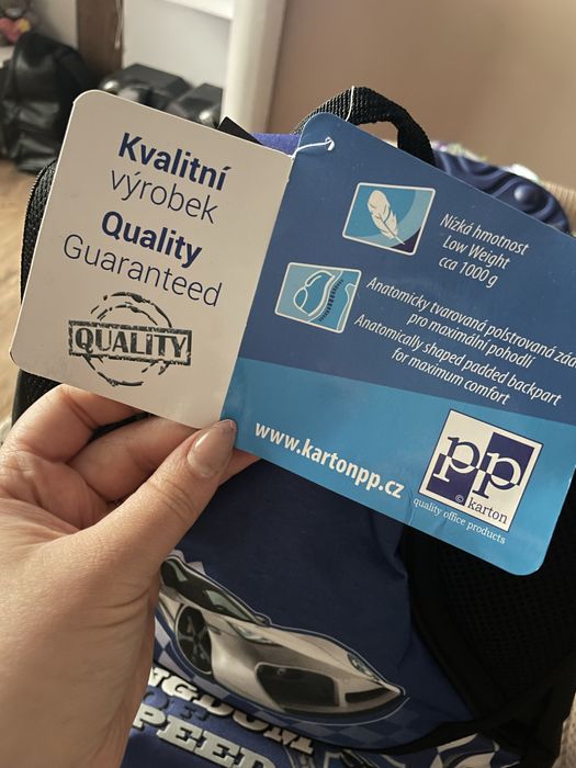 Дитячий рюкзак в школу