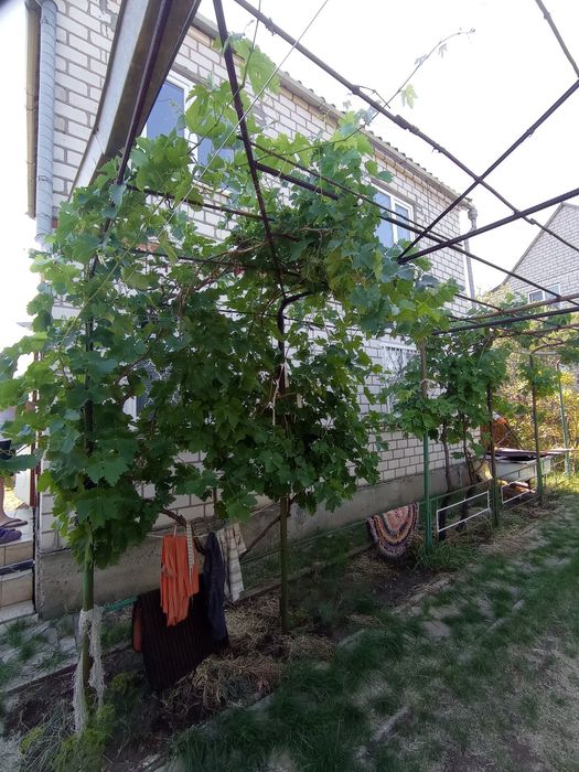 Продам будинок -дачу "Темп"Константинівка,перша лінія,2 поверхова, другий поверх без оздоблення,Ціна 6000$ торг.