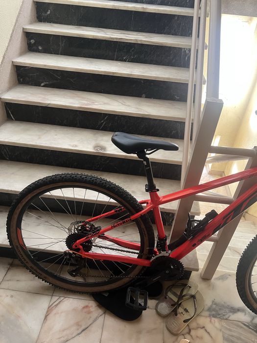 Bicicleta da cicloreis