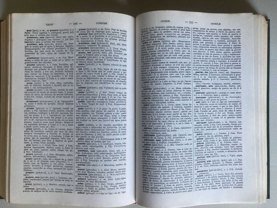 Grande Dicionário Francês - Português