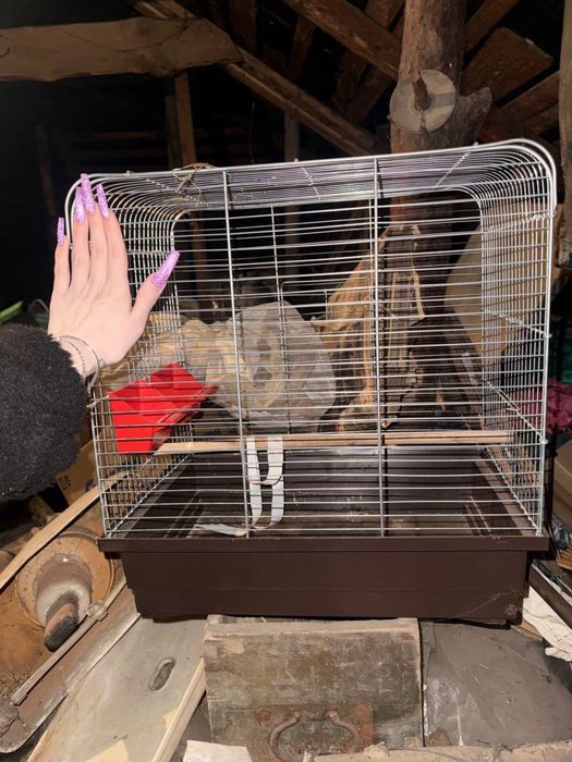 Продам клітку доя тварин