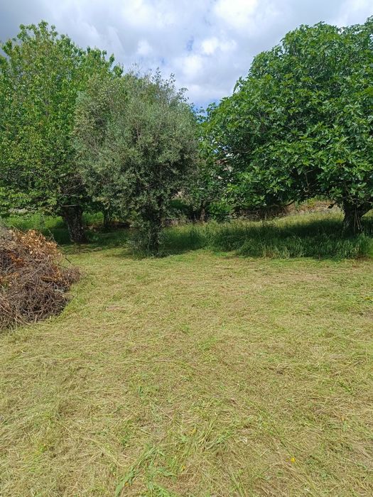 Limpeza de terrenos - Proteja a sua casa e terrenos de incêndios rurais e evite coimas