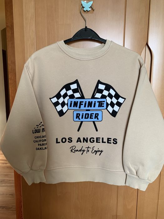 Худі утеплений світшот ZARA 9-10 років (140 см)