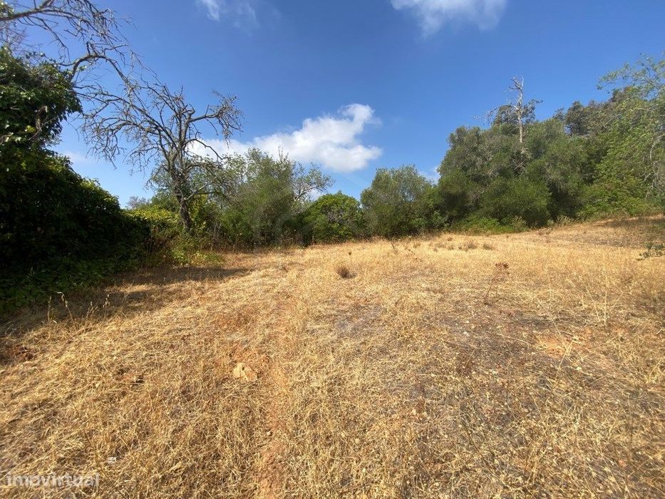 Lote de Terreno Rústico no Serro dos Passarinhos, Loulé, Algarve