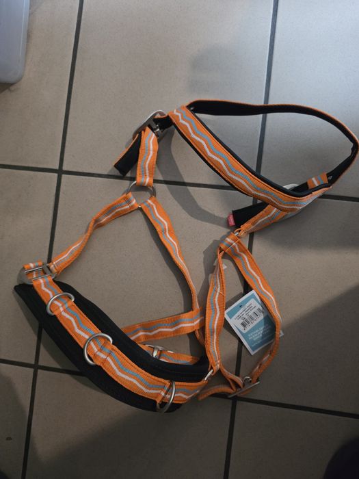 Nowy Kawecan Imperial Riding orange Full