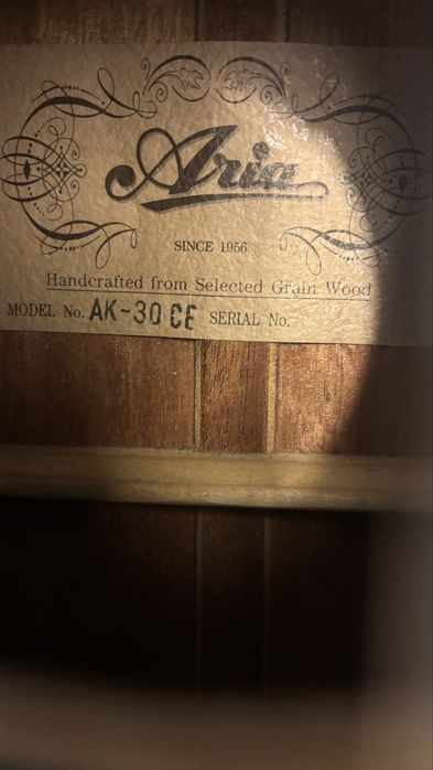 Viola Aria Electrificada com estojo