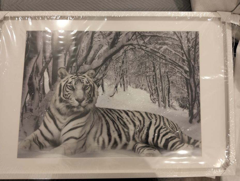 Quadro do tigre branco na neve