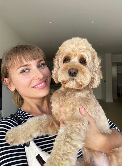 Стрижка собак и котів у Вас вдома. Грумер