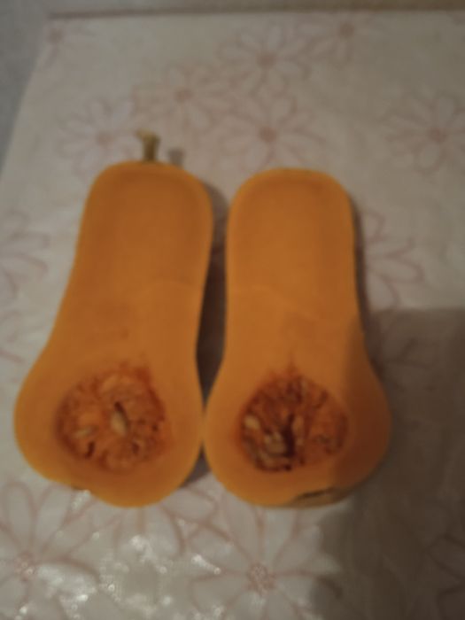 Семена Гарбуза  сорта Медовая сладість,Баттернат,Банан,Хокайдо