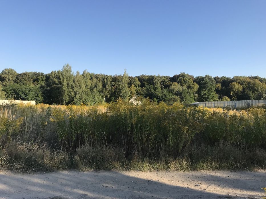 Продам земельну ділянку