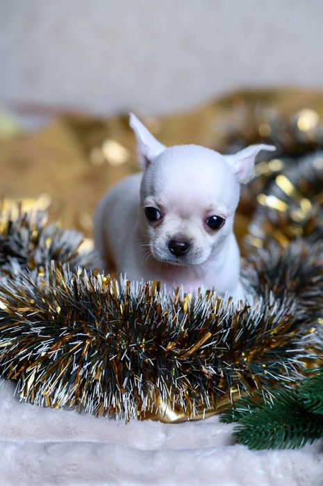 Некоторые встречи меняют жизнь навсегда.