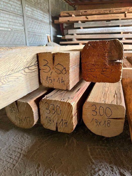 Stare belki ciosane siekierą dekoracyjne 15–20+ cm | suszone | rustykalne