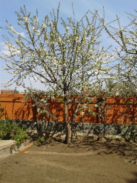 Продам дом в элитном районе