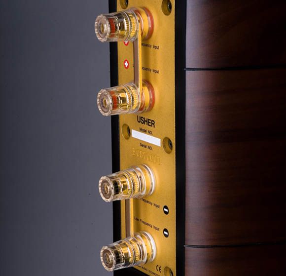 Usher Mini 2 AudioLand Studio kolumny