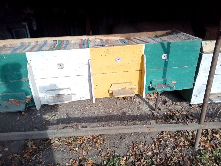 Продам пасіку/ вулики