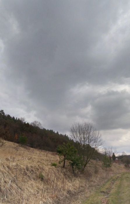 Ділянка 12 сотиків Брюховичі біля лісу