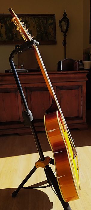 Guitarra de Jazz D'Angelico Style B (Nova)