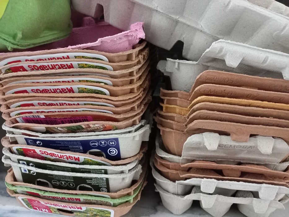 Caixas de ovos em cartão64585163297794120