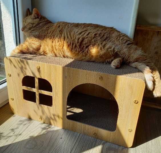 Drapak dla kota domek legowisko kryjówka tekturowy kartonowy zabawka
