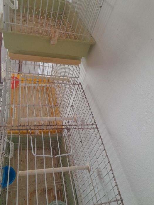 Viveiros para criação