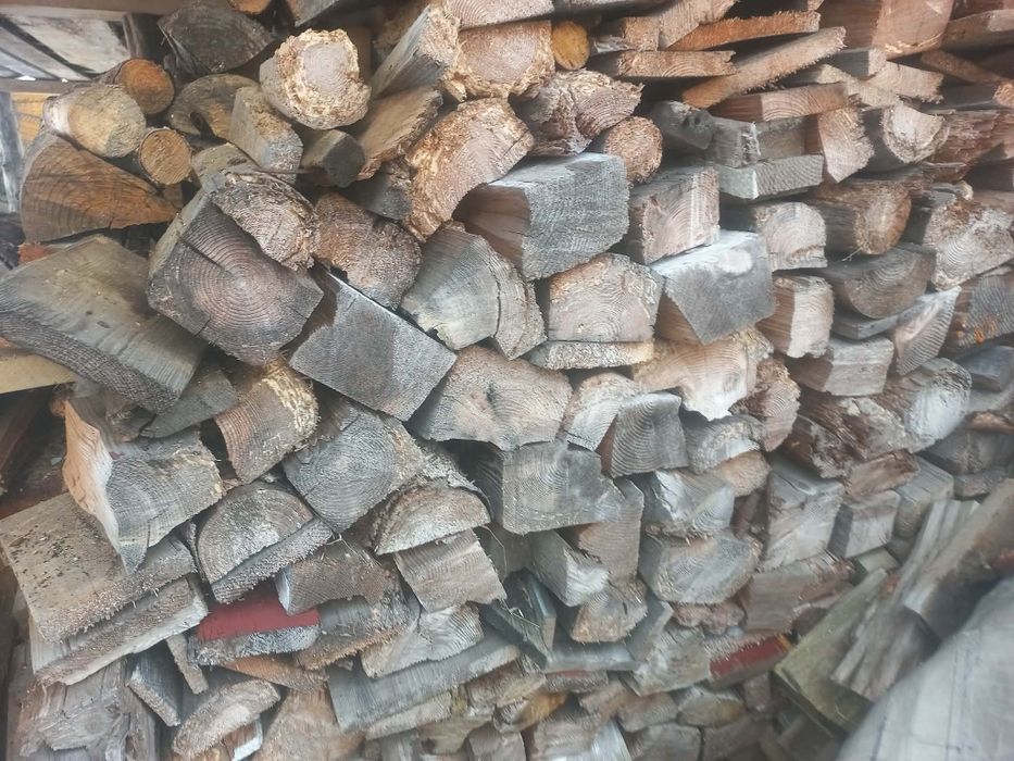 Sprzedam drzewo widoczne na zdjęciach