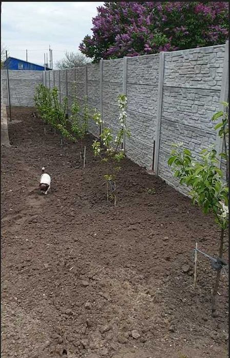 Продаємо свій будинок ( в оренду не здаємо)