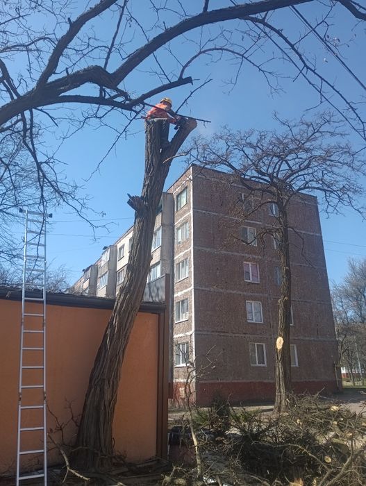 Спил дерев, спилить дерево,розчистка участок