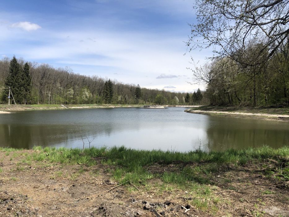 Выкопать ставок озеро, чистка ставков озер, копка ставков озер