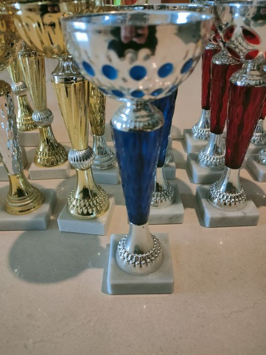 Taças / Troféus desportivos