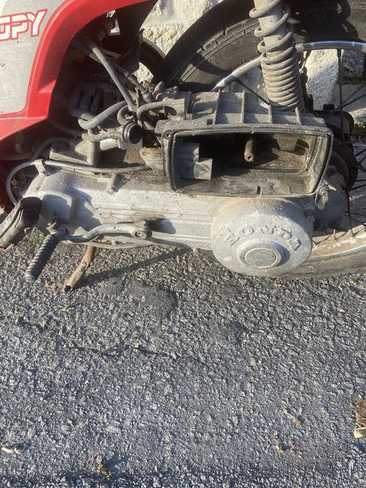 Honda Scoopy 50cc