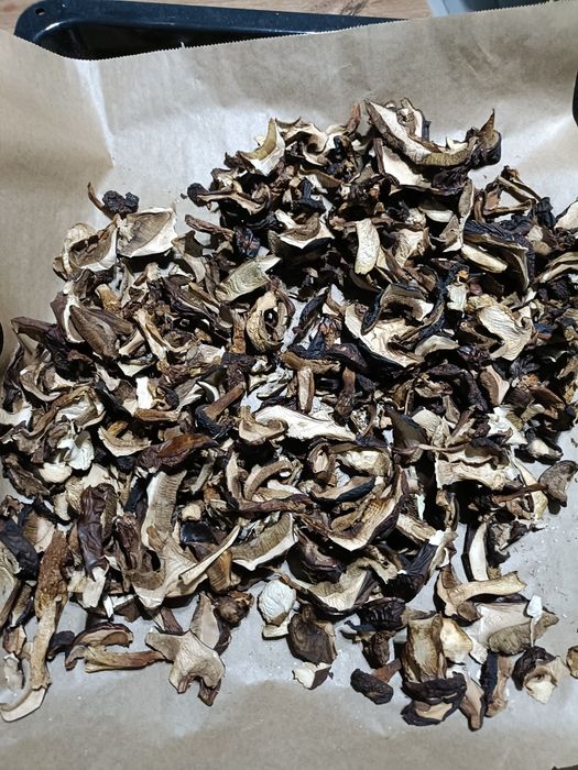 Podgrzybek suszony tegoroczny. 100g