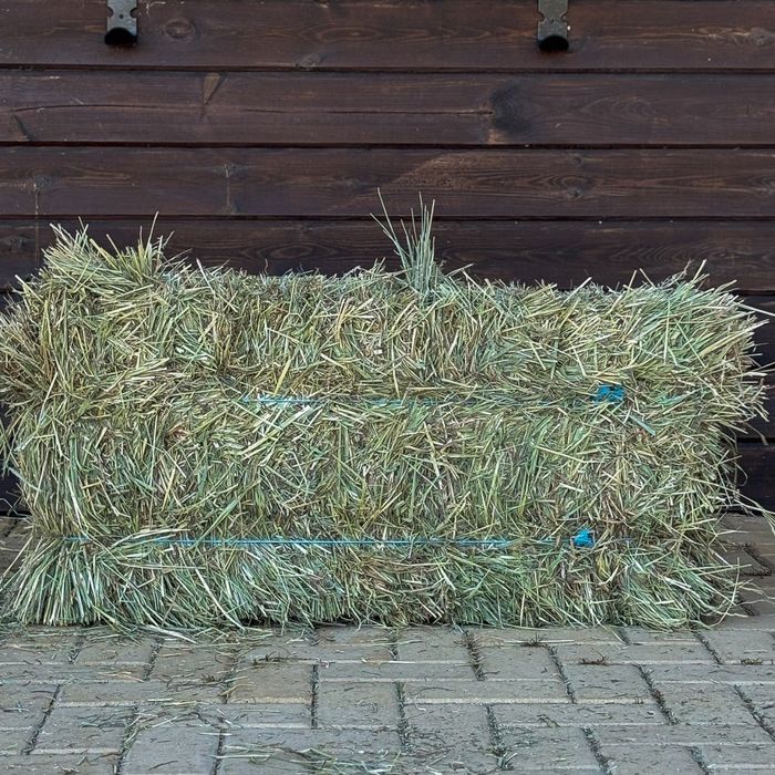 Feno de Azevém (approx. 20kg) de Otima qualidade
