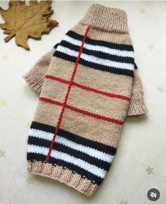 Одежда для собак