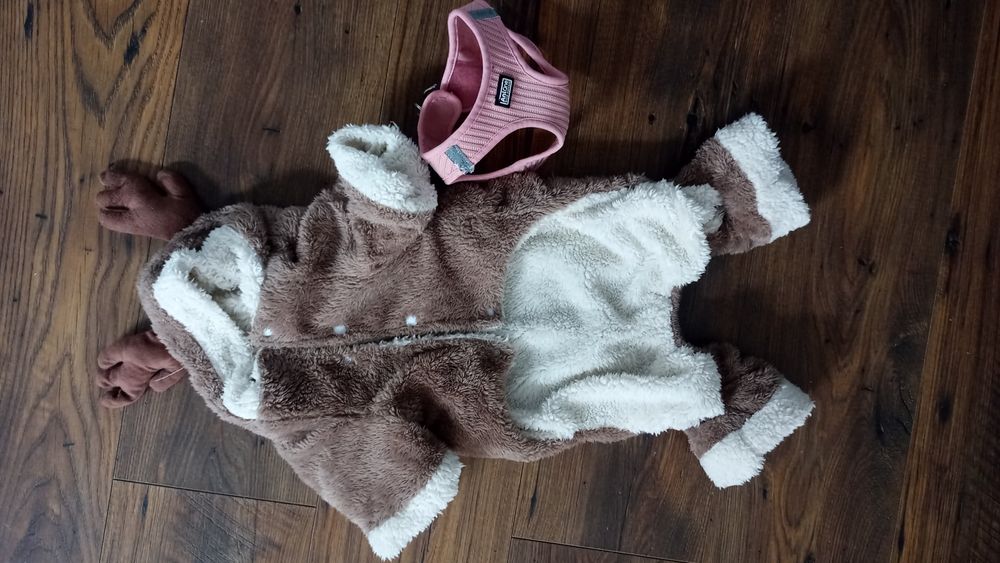 Renifer - Strój przebranie dla psa małego gratis szelki