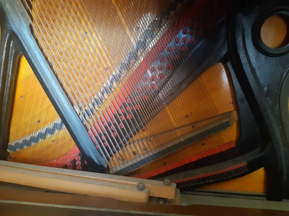 Piano Julius Blüthner